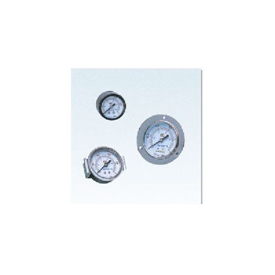 Auxiliary components - pressure gauge